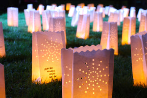 The Light of Luminaries