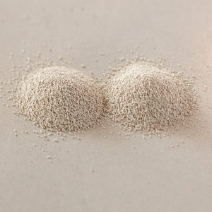 Yeast 101