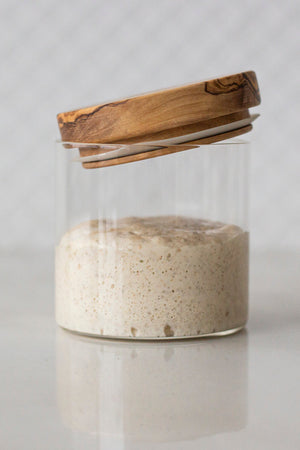 How to Start a Sourdough Starter