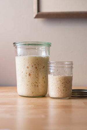 Troubleshooting Sourdough Starter