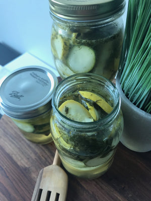 Pickled Zucchini