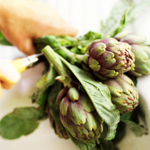 Top 5 Reasons to Eat Artichokes
