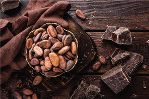Chocolate Making: Bean to Bar