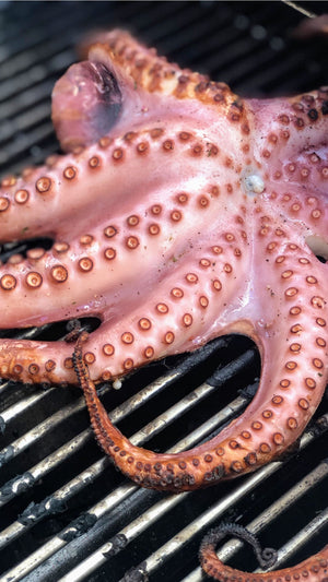 Grilled Octopus Ceviche - Grilling Gala 2019