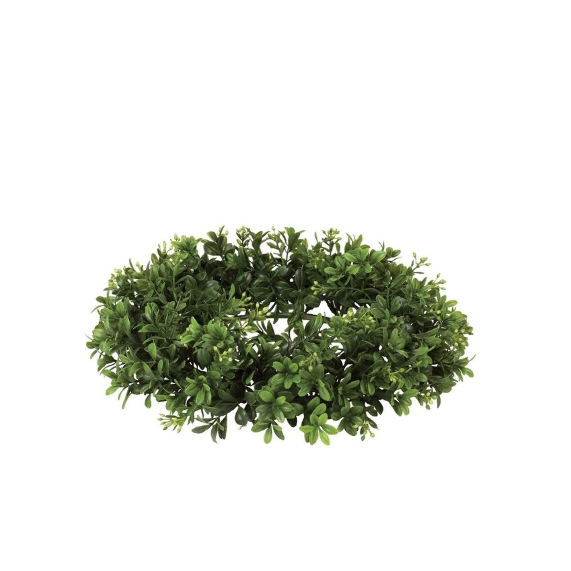 Boxwood Wreath