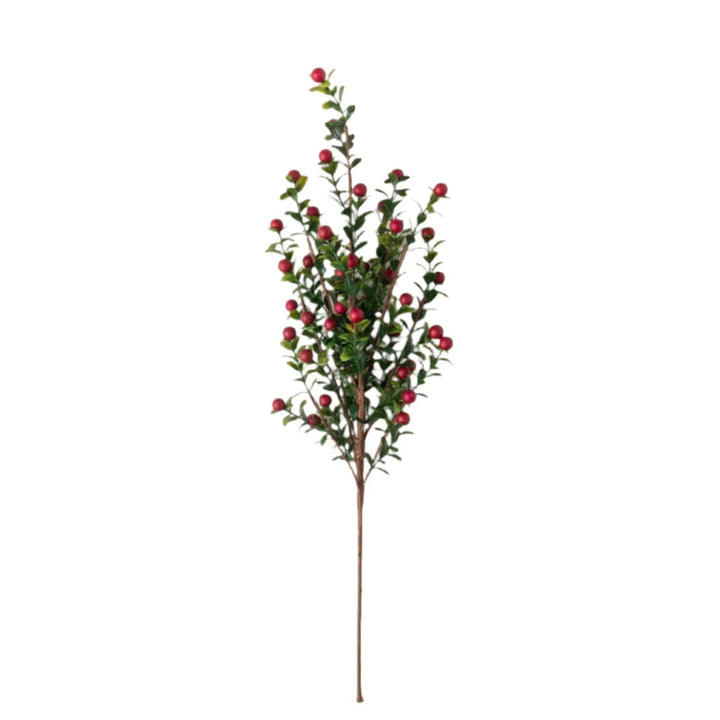 Boxwood Berry Pick (dis)