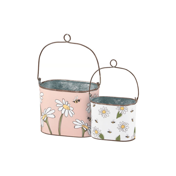 Bucket Set Daisies