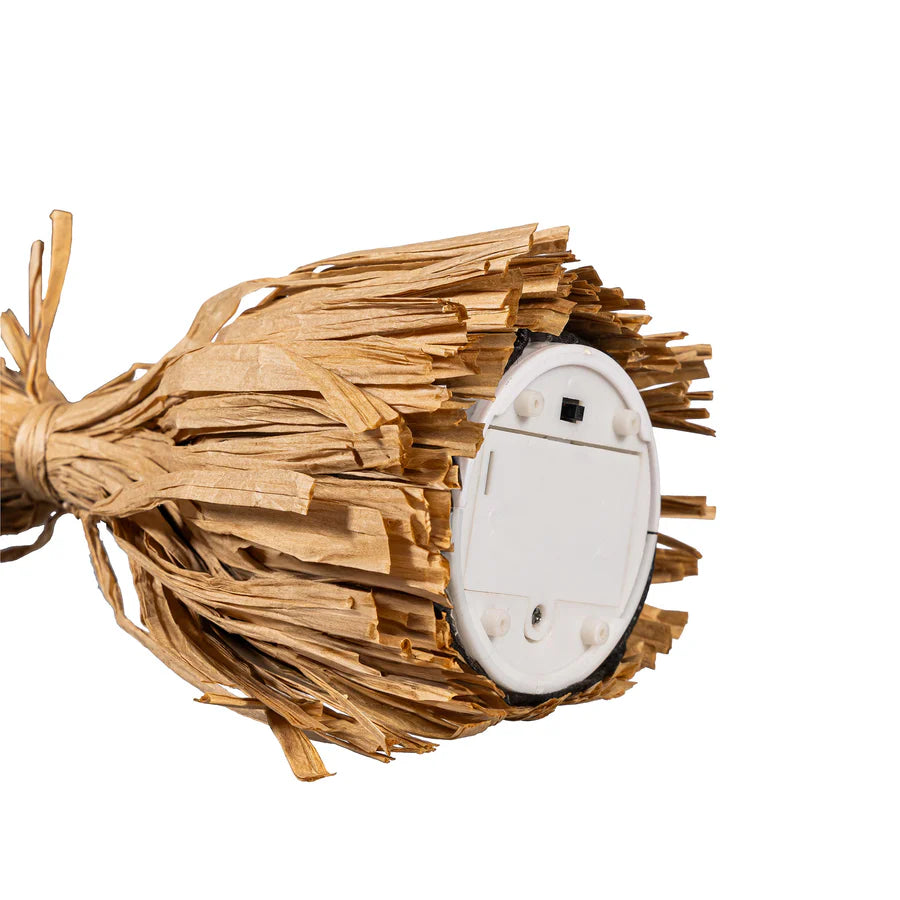 Broom with Movement