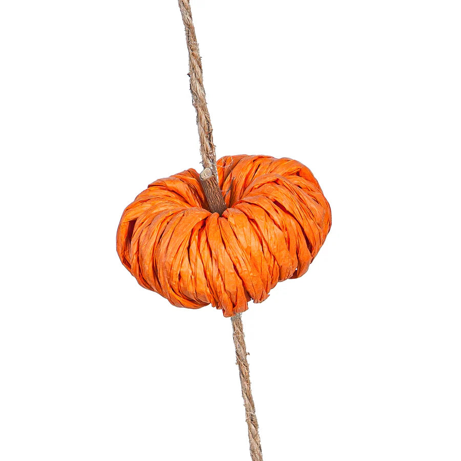 Pumpkin Rope Garland