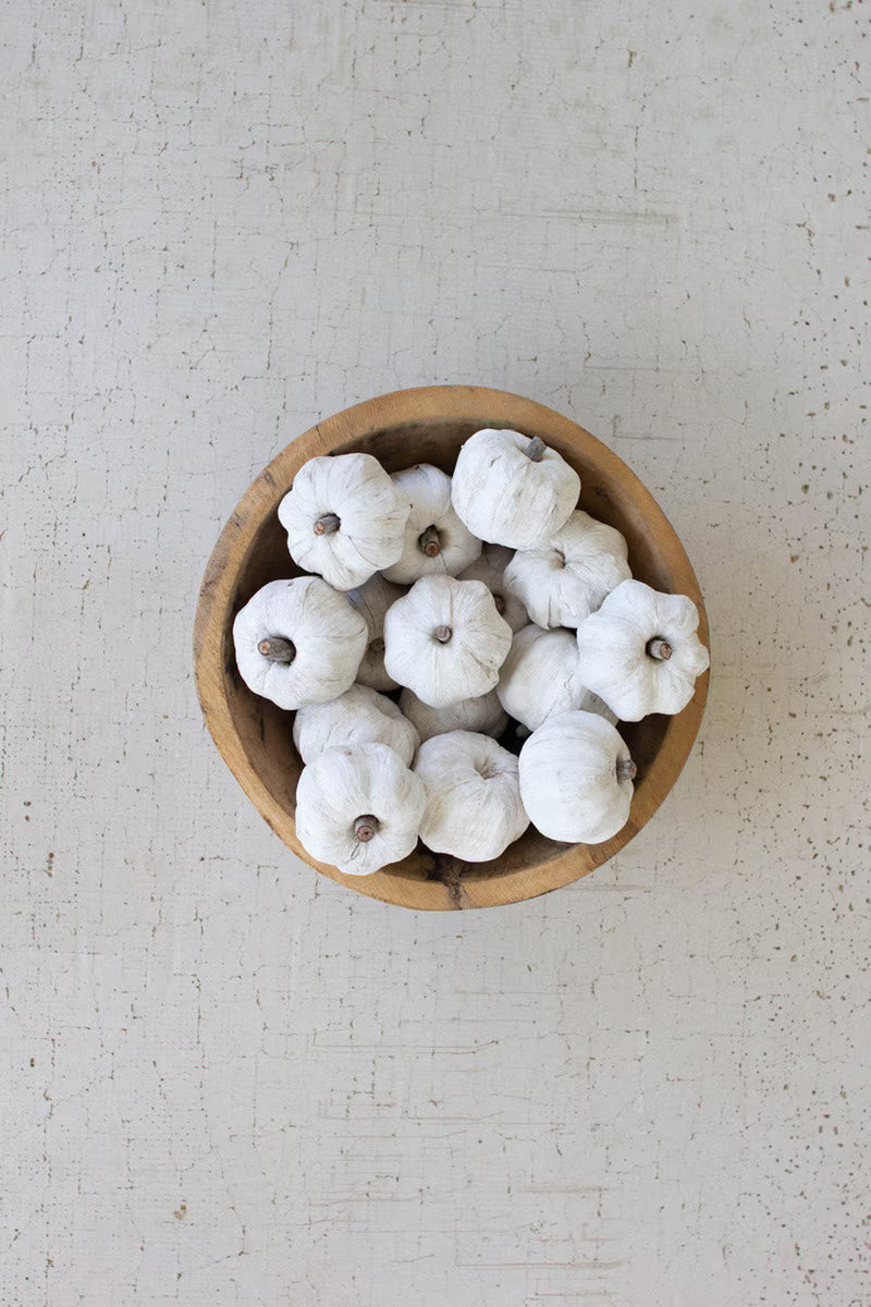 Bag of 15 Dried Miniature Faux Pumpkins - White