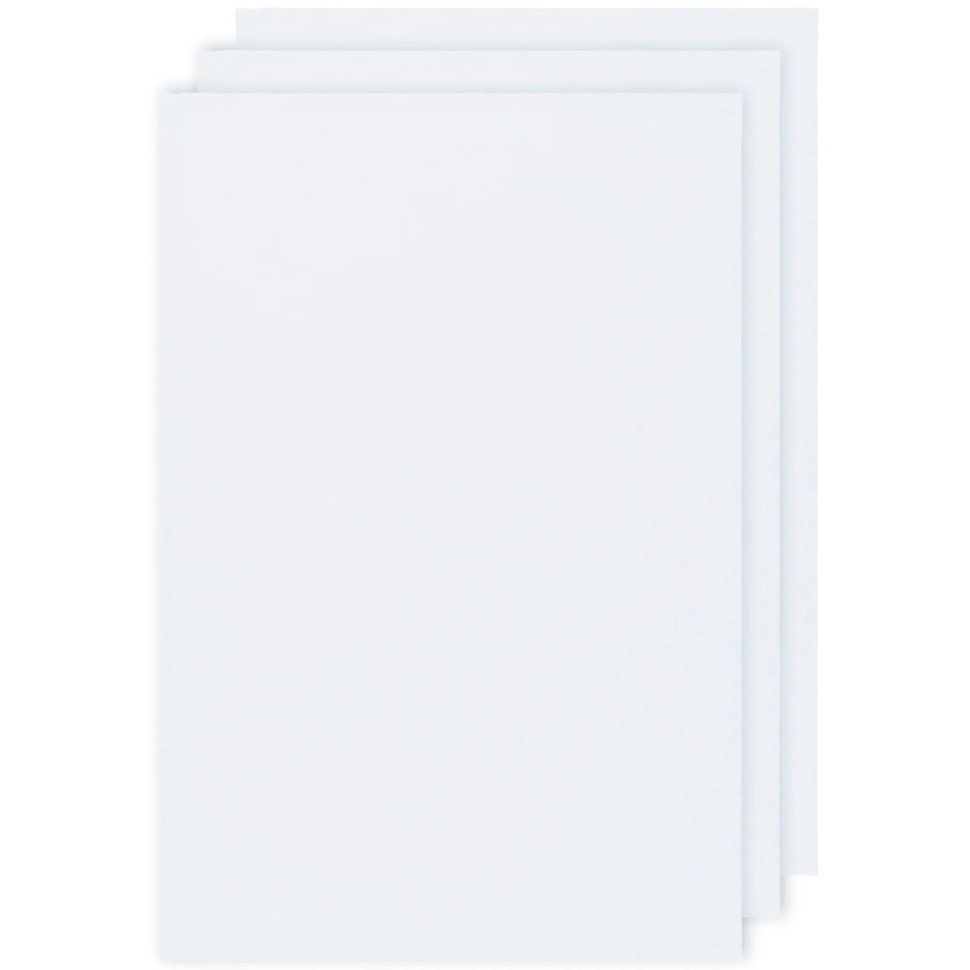 White Floursack Dishtowels Set of 3