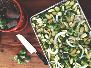 Yummy Brussels Sprouts Recipe