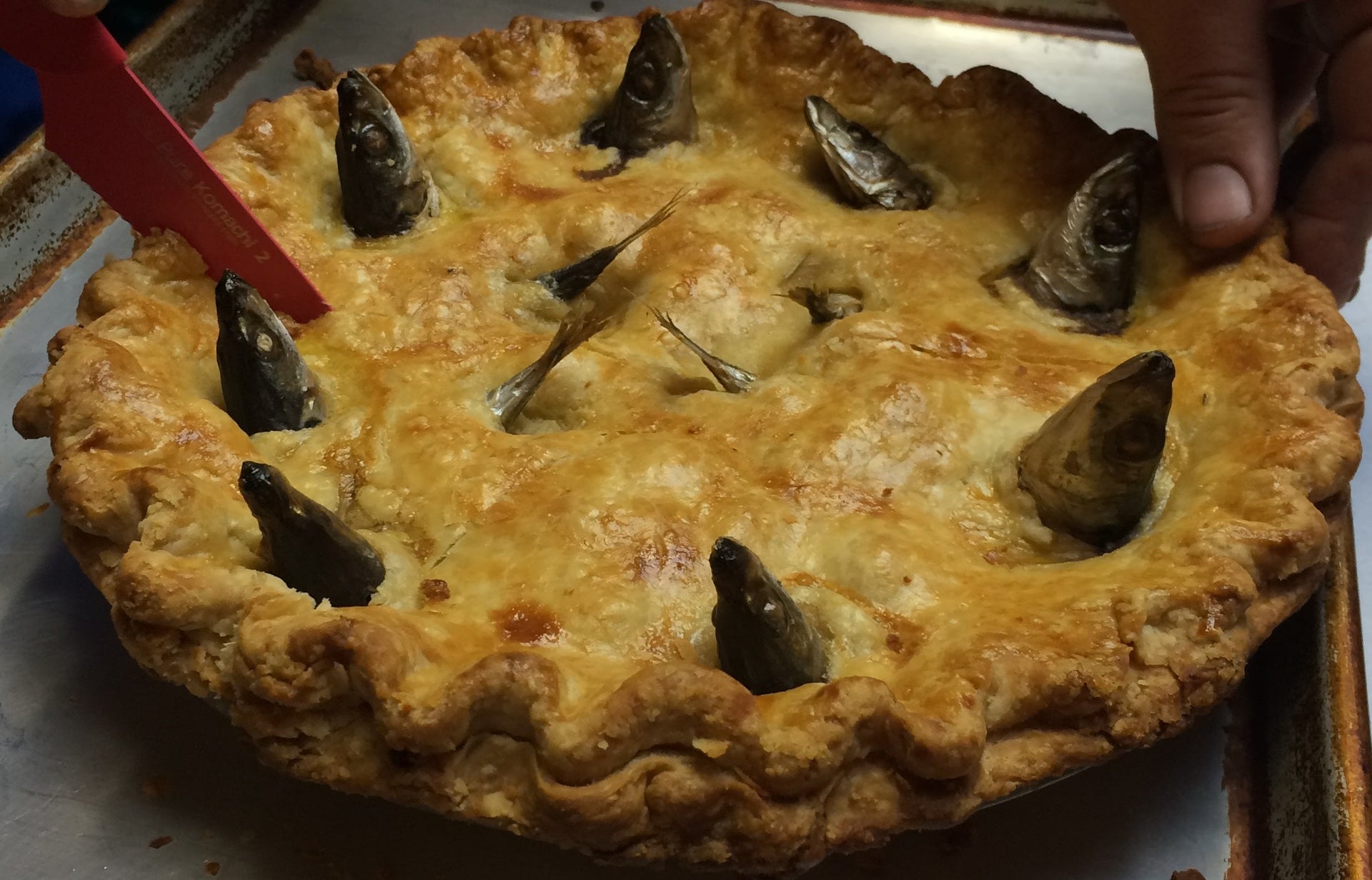 Pie Contest Round-Up
