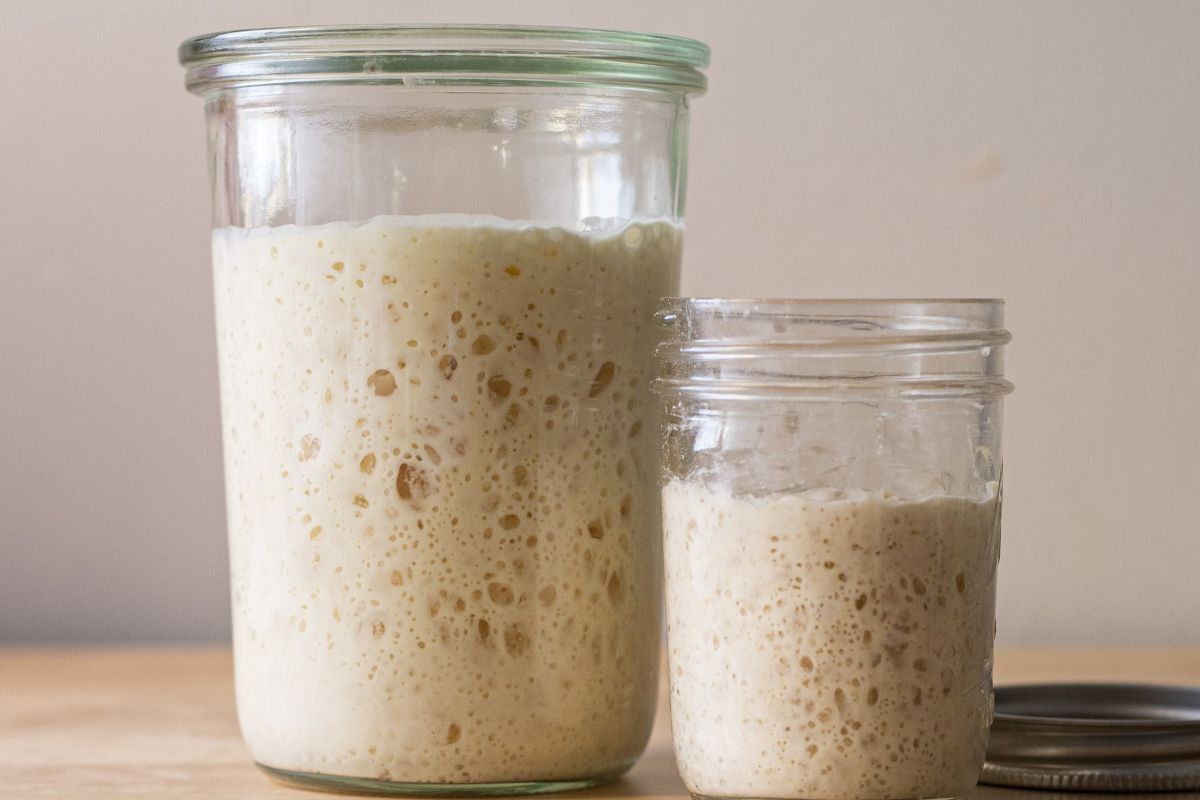 Close-up of sourdough discard in a small jar, showing its bubbly, tangy texture, ready to be transformed into dehydrated starter.