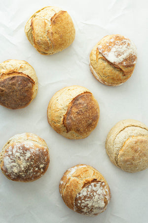 Understanding Sourdough Technique