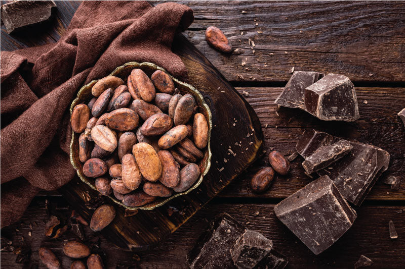 Chocolate Making: Bean to Bar