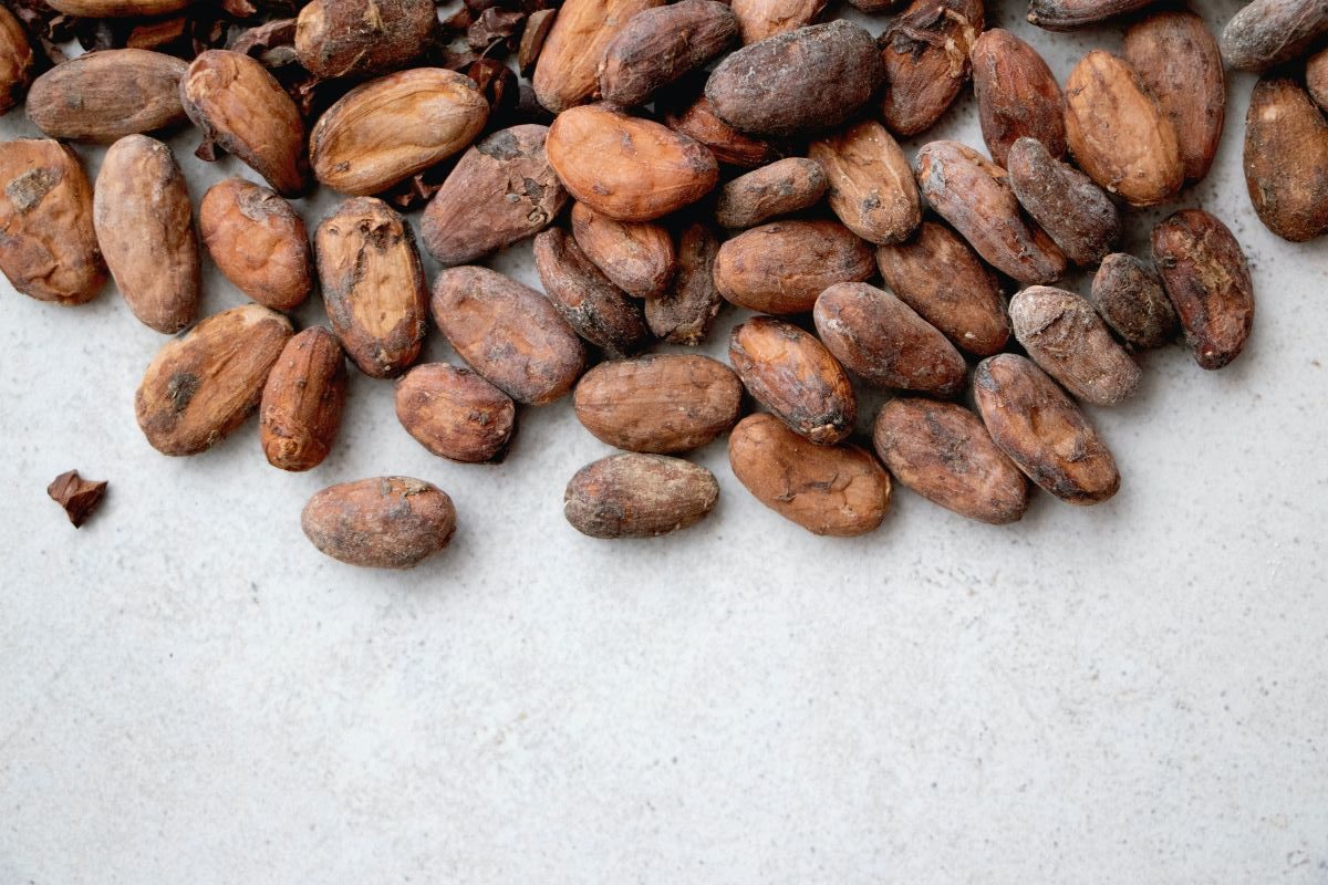 Glossary for Cocoa Powder