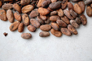 Glossary for Cocoa Powder