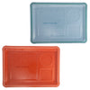 Two lunch trays, one blue and one red, with 'Lunch Tray Co.' branding on a white background.