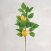 Artificial lemon branch with green leaves on a light gray background