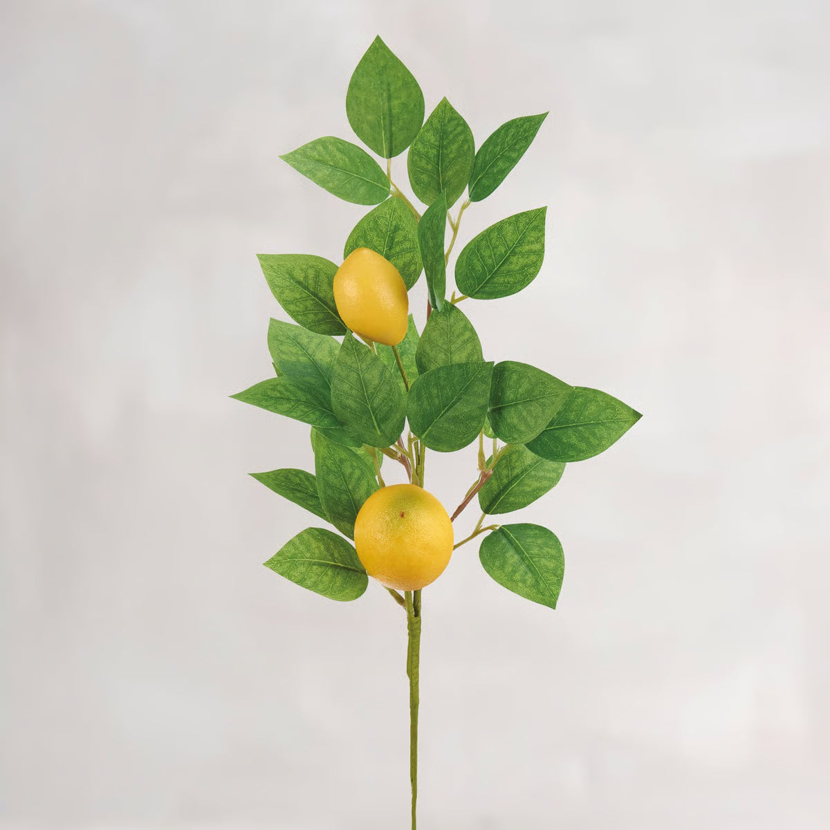 Artificial lemon branch with green leaves on a light gray background