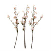 Cherry Blossom Branch