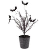 Decorative plant with black bats on branches in a pot on a white background