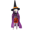 Mouse Witch Critter