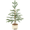 Large Icy Pine Tree