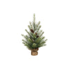 Black Hills Pine Tree (dis)