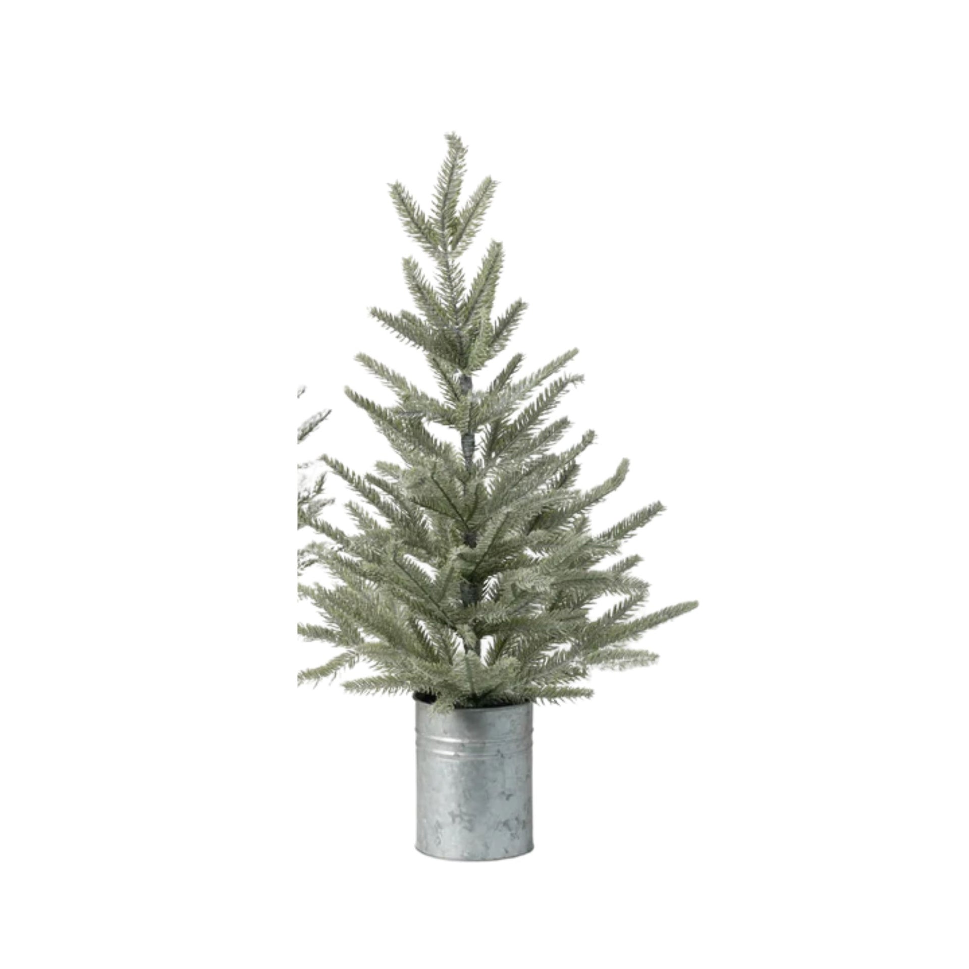 Pine Tree in Can Small (dis)
