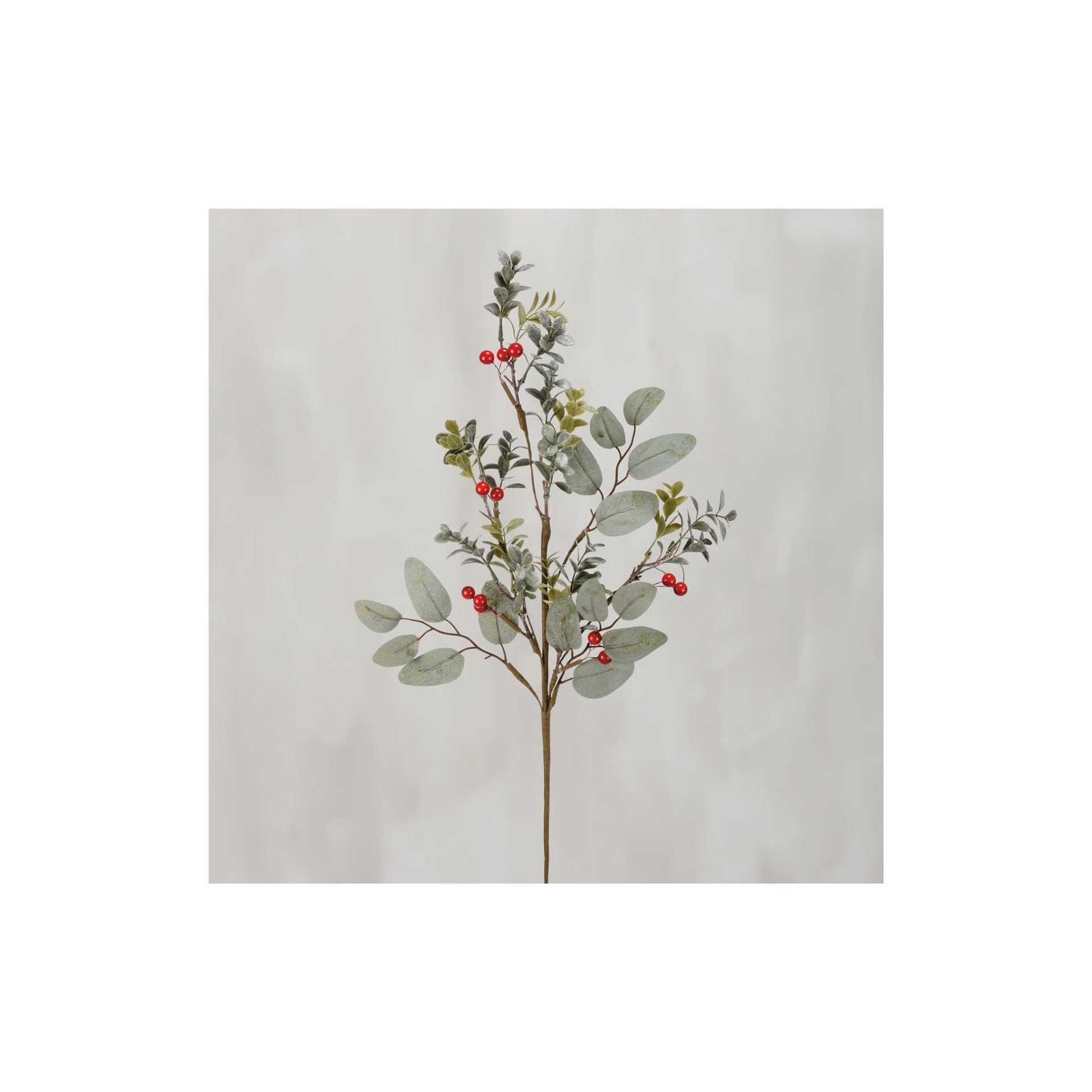Eucalyptus and Berries
