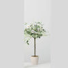 Daisy Eucalyptus Topiary 22" (dis)