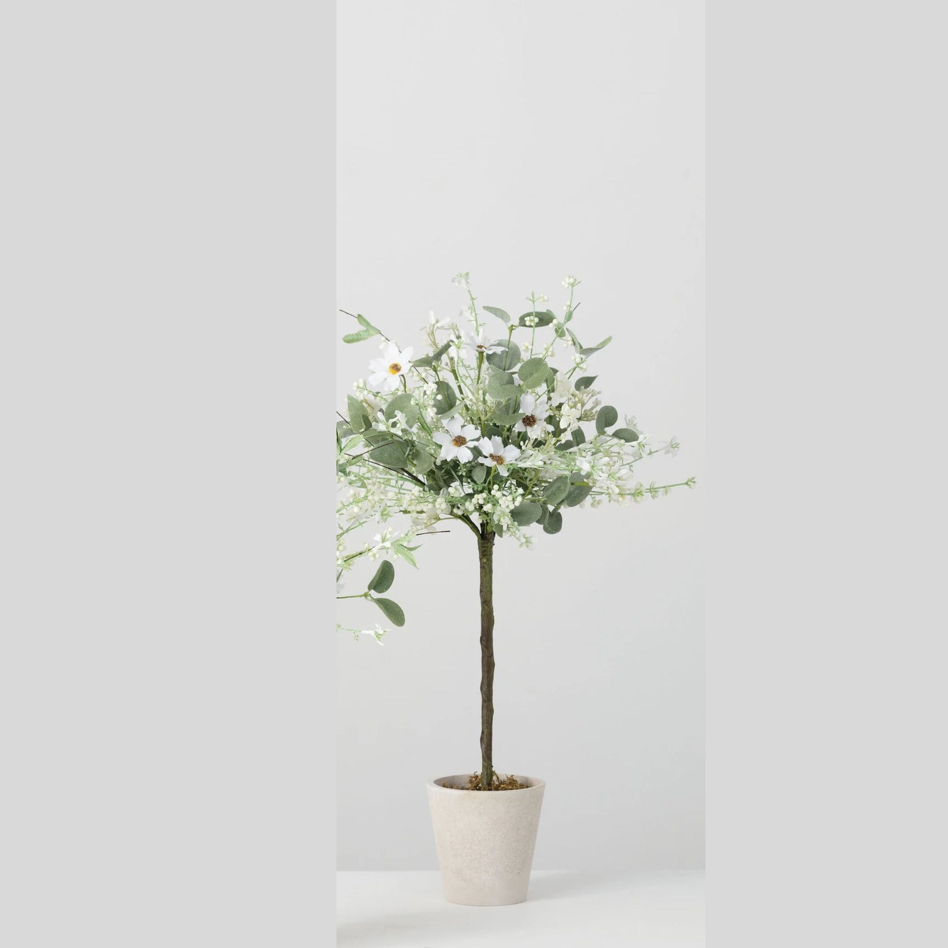 Daisy Eucalyptus Topiary 22" (dis)