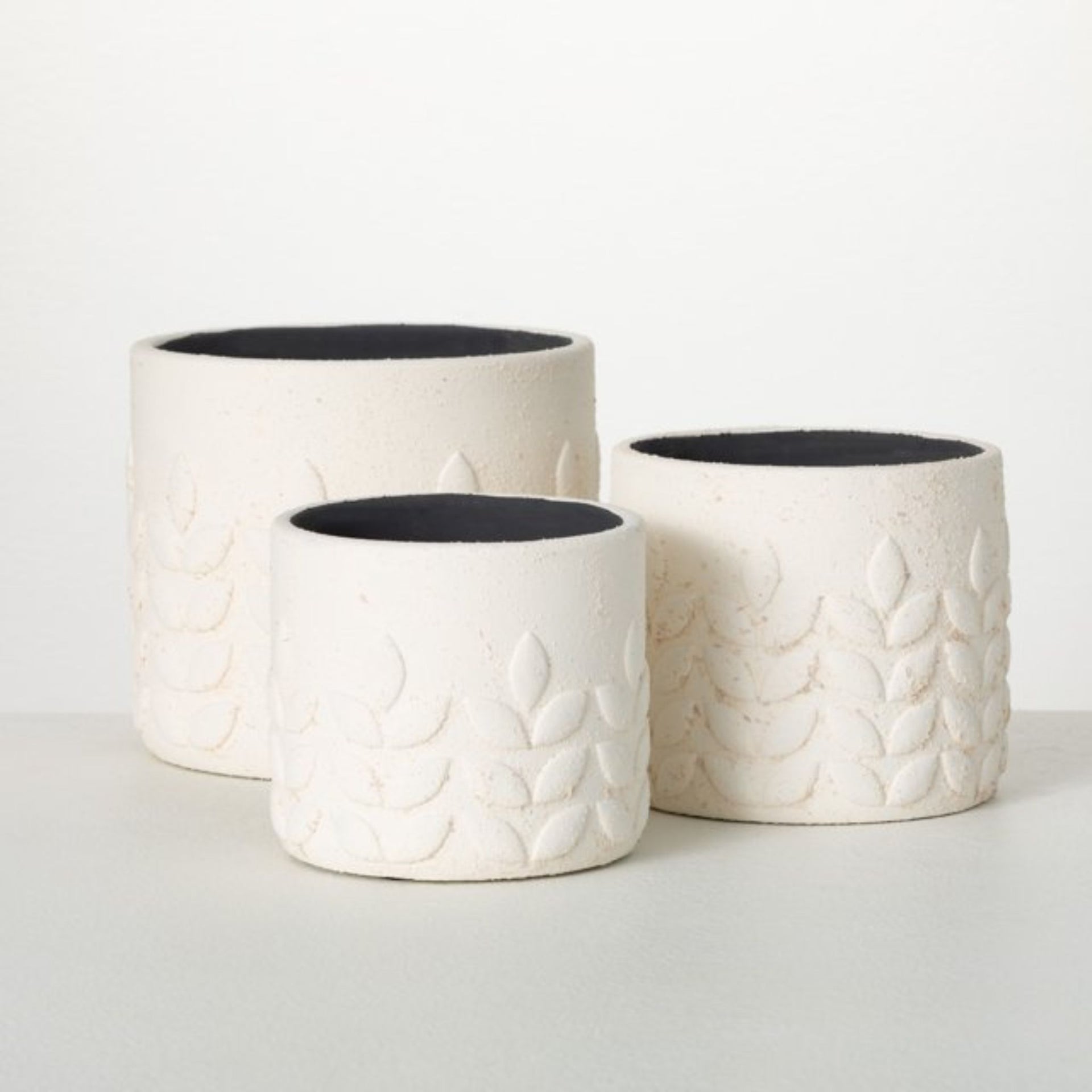 Modern Leaf Container Medium