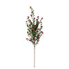 Boxwood Berry Pick (dis)