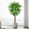 Tea Leaf Berry Topiary Tree 30" (dis)