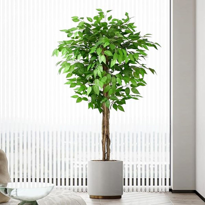 Tea Leaf Berry Topiary Tree 30" (dis)