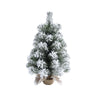 Sm Snow Colorado Tree with burlap Stand