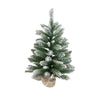 Frosted Noble Fir Tree