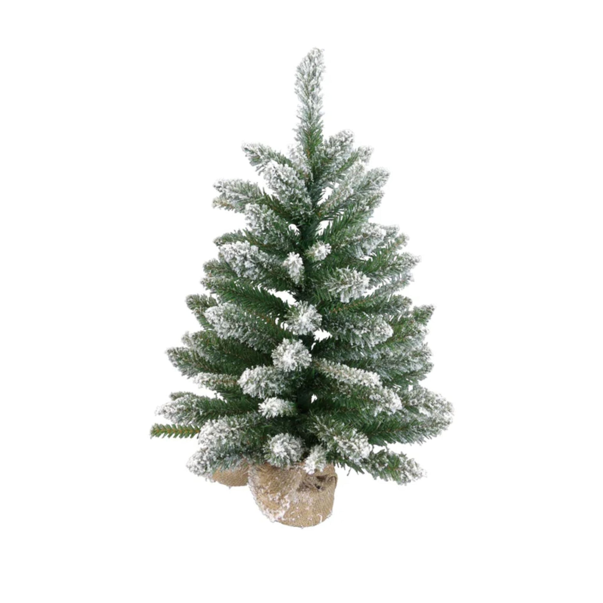 Frosted Noble Fir Tree