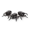 Three black beetle-shaped toys on a white background