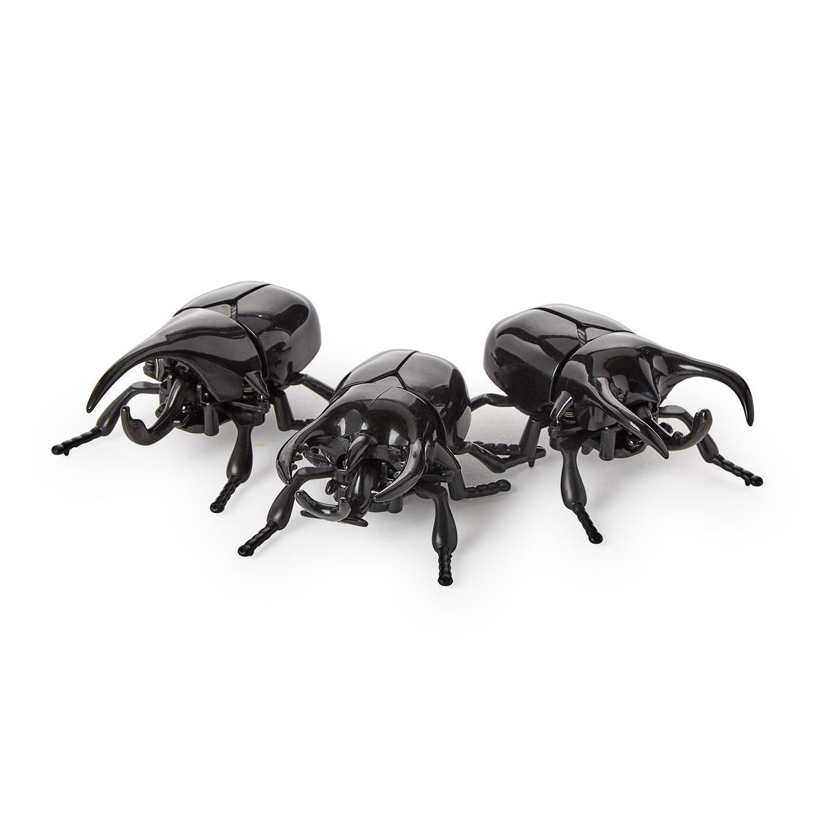Three black beetle-shaped toys on a white background