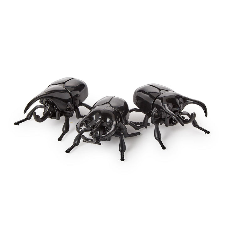 Three black beetle-shaped toys on a white background