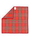 Vixen: Double-Sided Washcloth