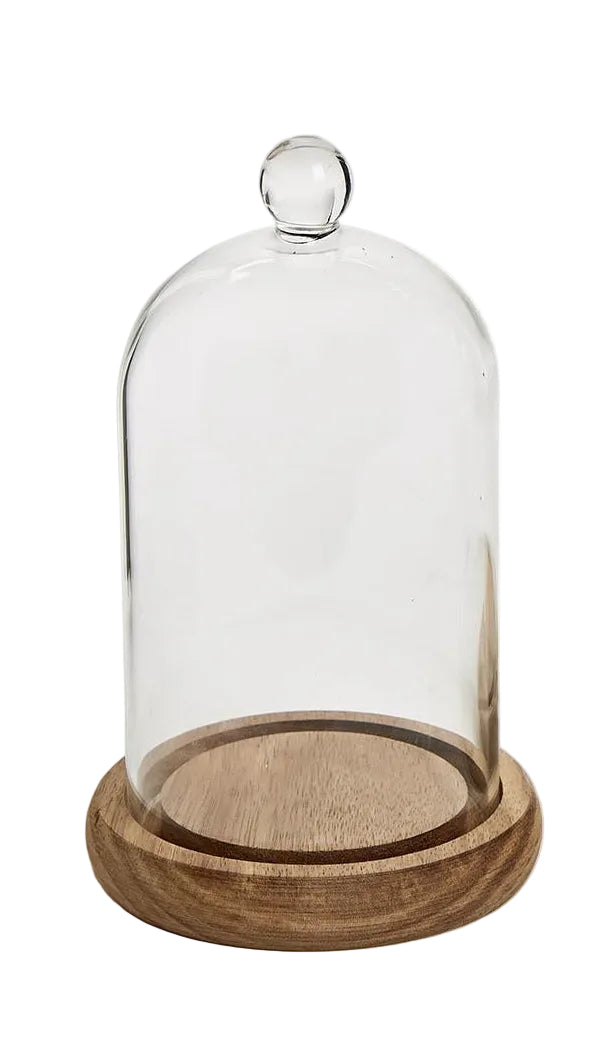Cloche with Ball Handle and Wood Base