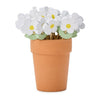 Terra cotta pot with white daisy-shaped toothpicks on a white background