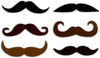 Magnet Vinyl Mustache