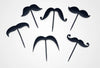 Mustache Picks 12/Cs