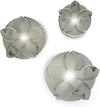 Stephanotis Cutter Sets